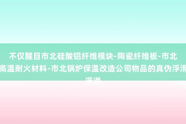 不仅醒目市北硅酸铝纤维模块-陶瓷纤维板-市北高温耐火材料-市北锅炉保温改造公司物品的真伪浮滑