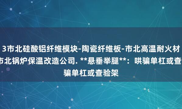 3市北硅酸铝纤维模块-陶瓷纤维板-市北高温耐火材料-市北锅炉保温改造公司. **悬垂举腿**：哄骗单杠或查验架